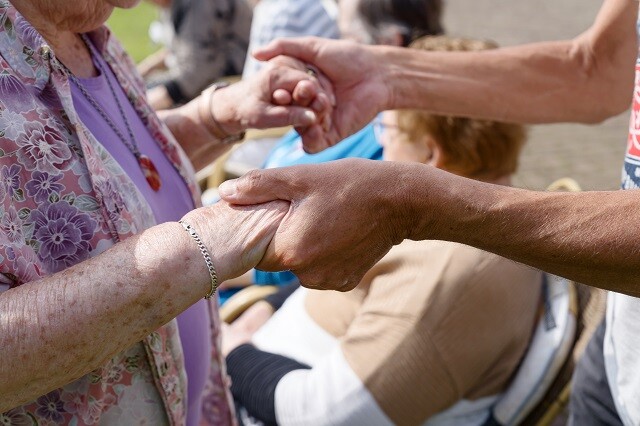 Heerlijk bijkomen op de Veluwe: zomer