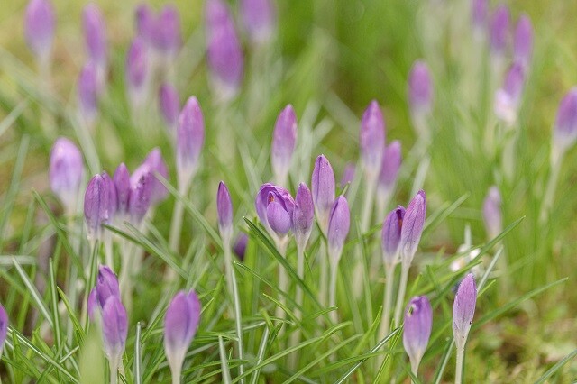Genieten van Gelderse gezelligheid: voorjaar op de Veluwe