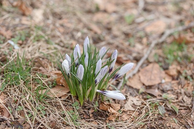 Geheel verzorgd op vakantie: vier Pasen in Lunteren