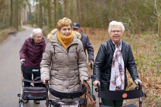 Beleef de natuur op de Veluwe: kleurrijk najaar 2026