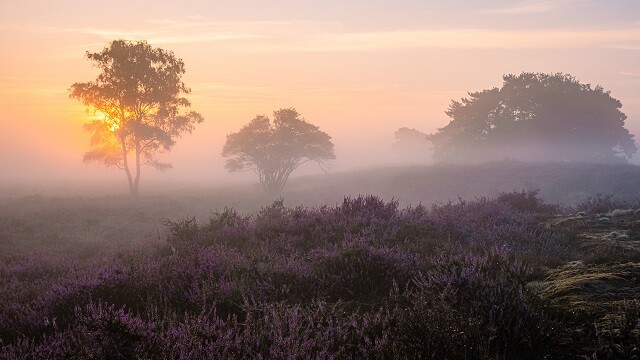 Genieten van Gelderse gezelligheid: nazomer op de Veluwe