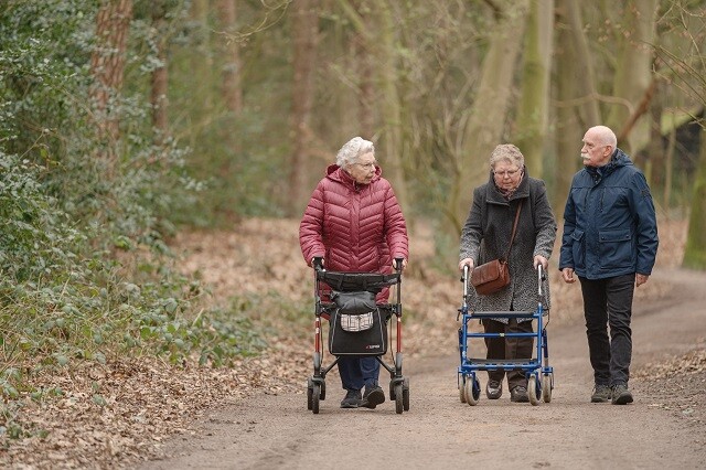 Beleef de natuur op de Veluwe: kleurrijk najaar 2026