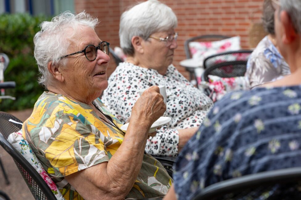 Beleef de natuur op de Veluwe: nazomer